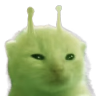glorp staring at you